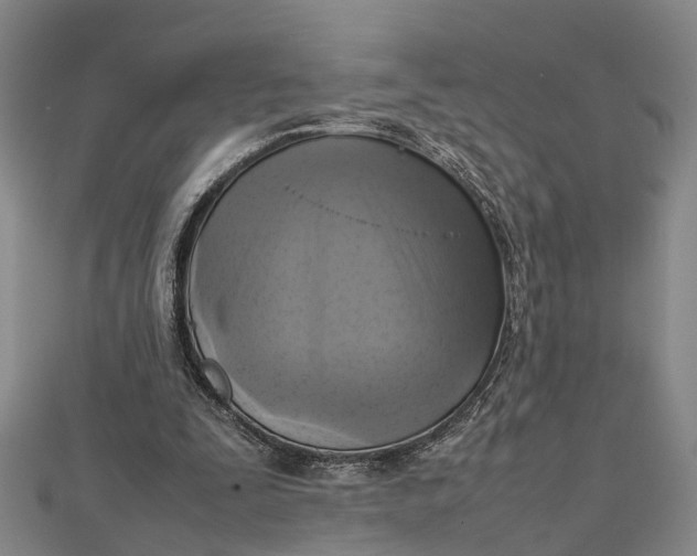 X0000112090295200908251133