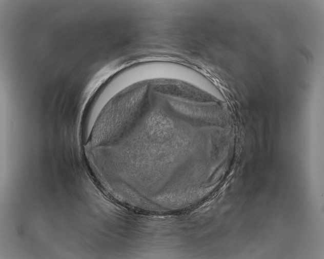 X0000112090296200908251133