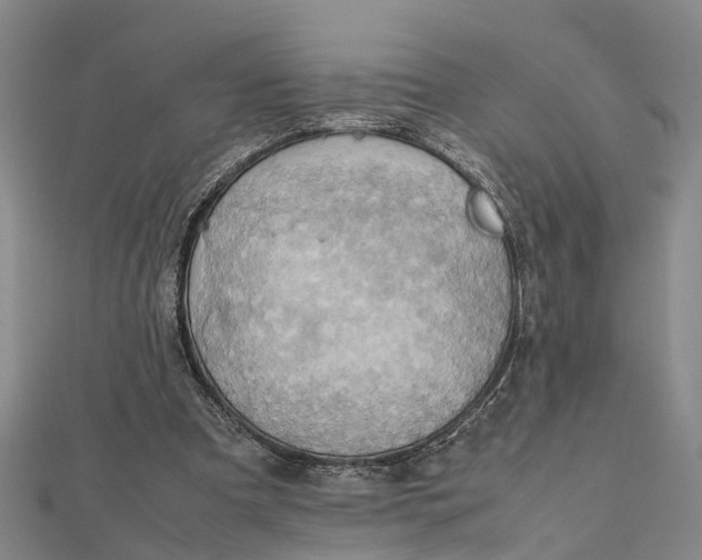 X0000112090297200908251133