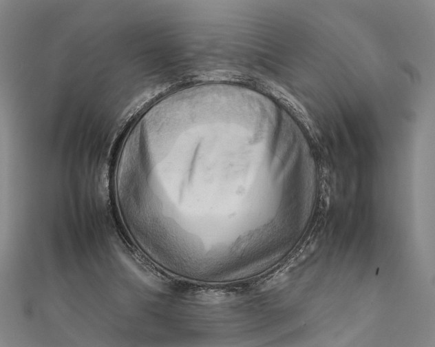 X0000112090298200908251133