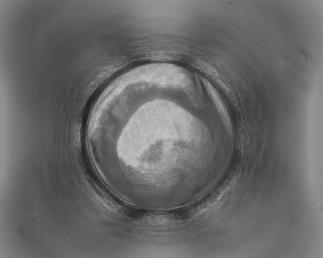 X0000112090299200908251133