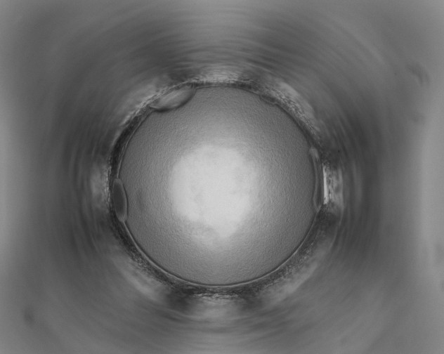 X0000112090300200908251133