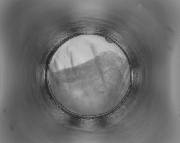 X0000112090301200908251133