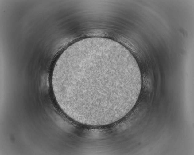 X0000112090302200908251133