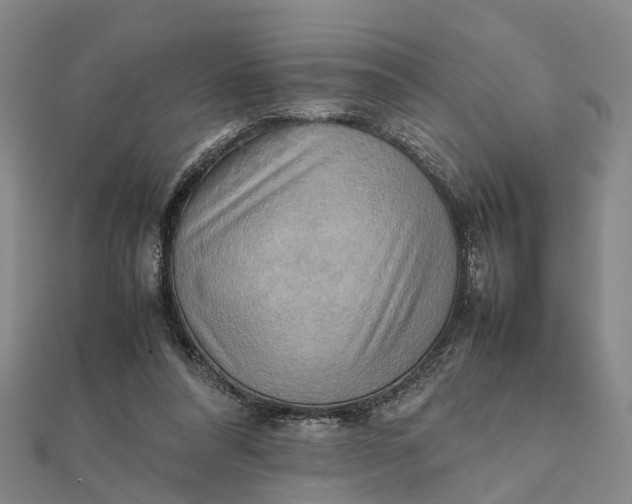 X0000112090304200908251133