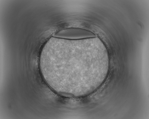 X0000112090305200908251133