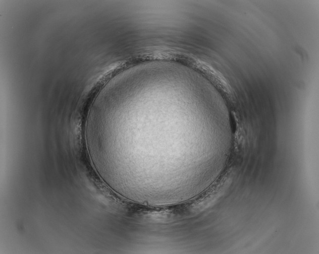 X0000112090306200908251133