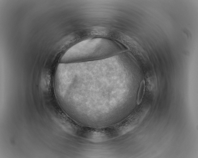 X0000112090308200908251133