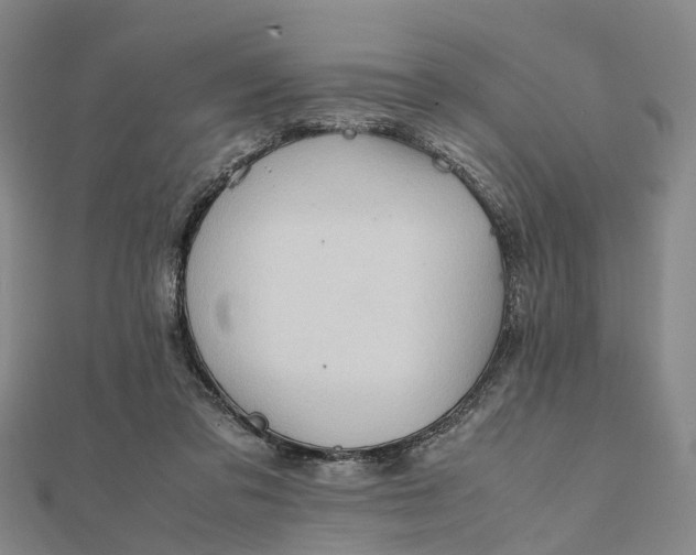 X0000112090309200908251133