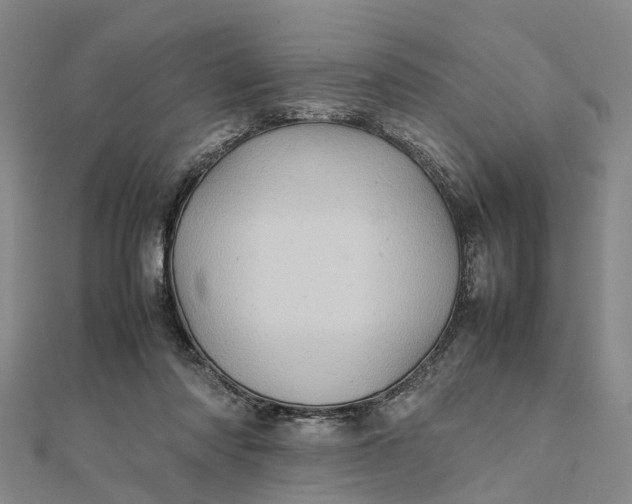 X0000112090310200908251133