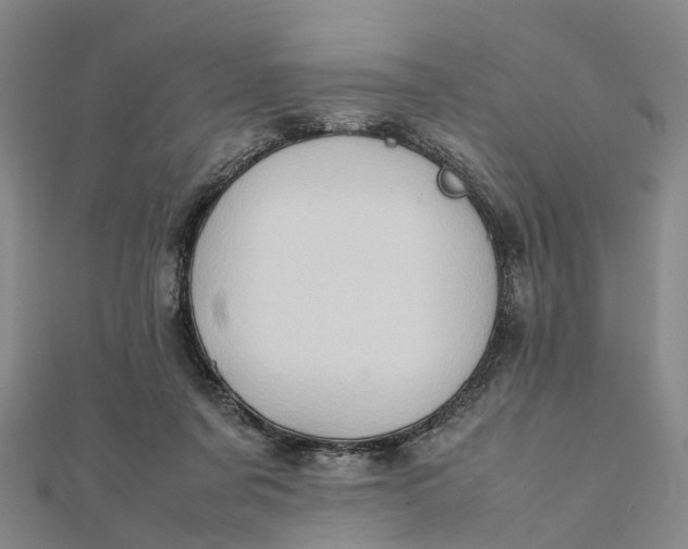 X0000112090311200908251133