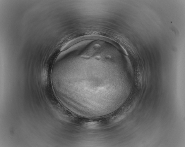 X0000112090312200908251133