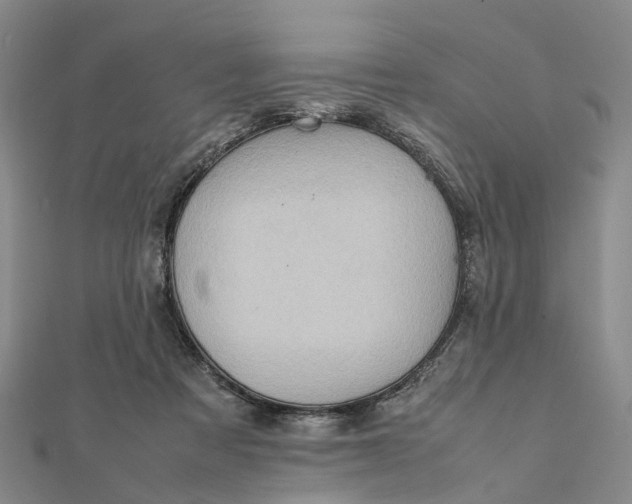 X0000112090313200908251133