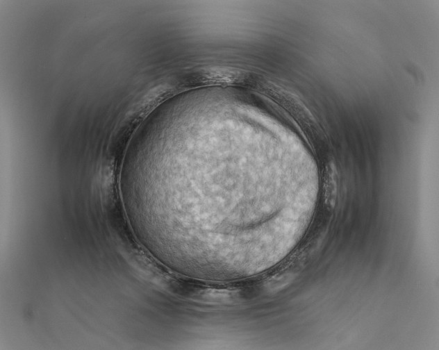 X0000112090314200908251133