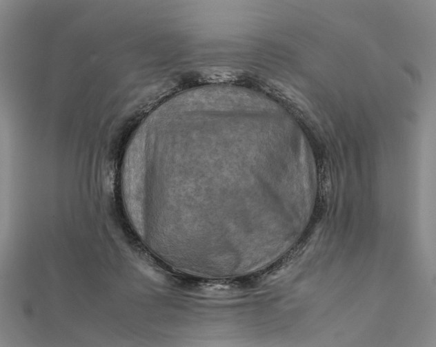 X0000112090315200908251133