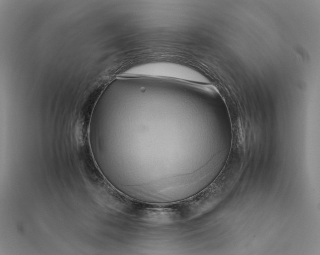 X0000112090316200908251133