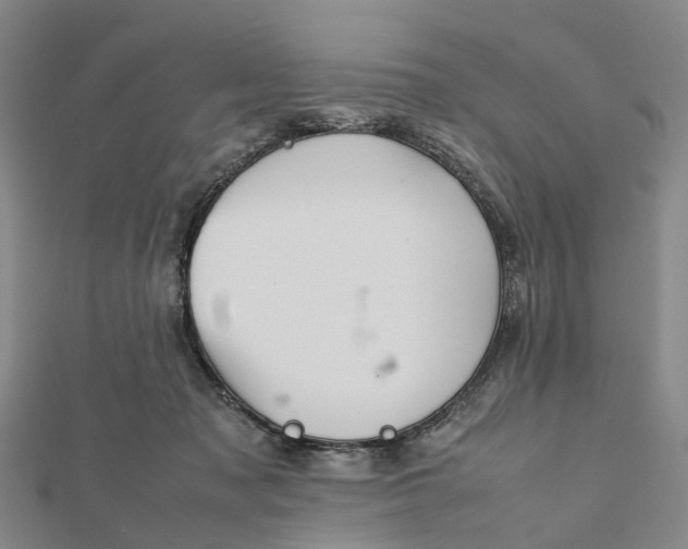 X0000112090317200908251133