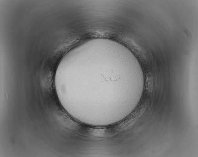 X0000112090318200908251133