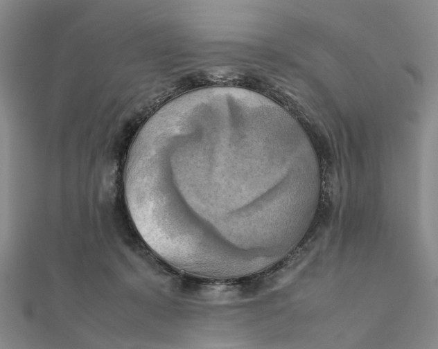X0000112090319200908251133