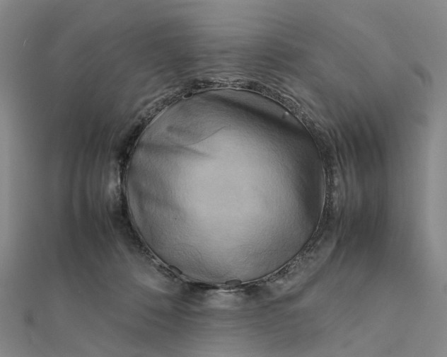X0000112090320200908251133