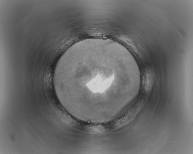 X0000112090322200908251133
