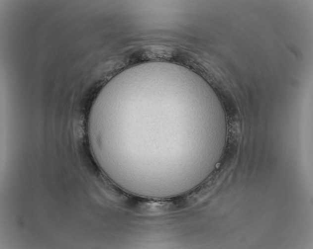 X0000112090323200908251133