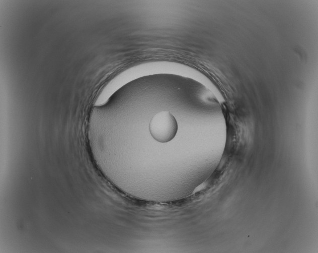 X0000112090325200908251133