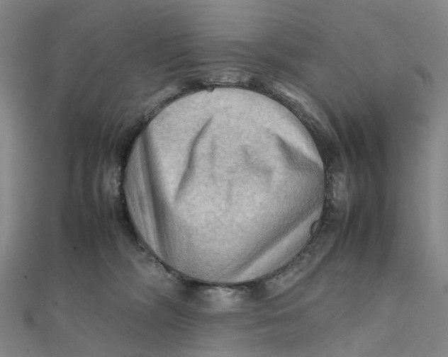 X0000112090326200908251133