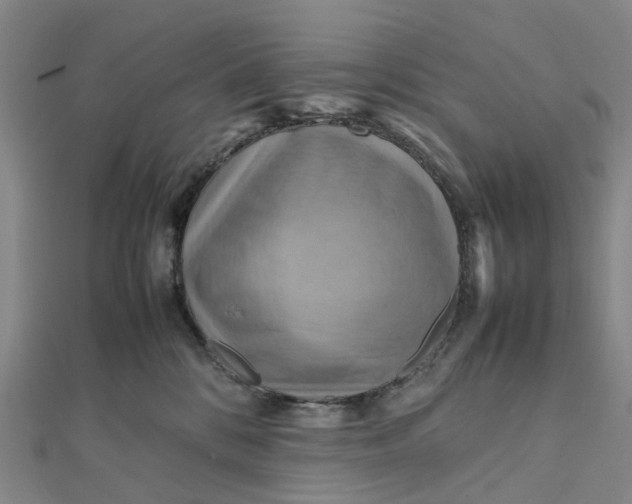 X0000112090328200908251133