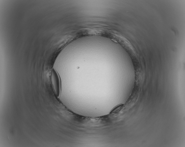 X0000112090329200908251133