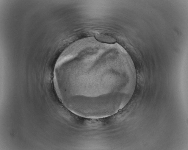 X0000112090331200908251133