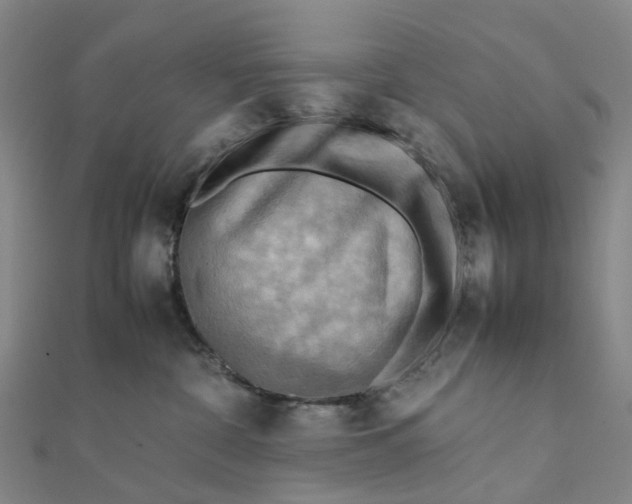 X0000112090332200908251132