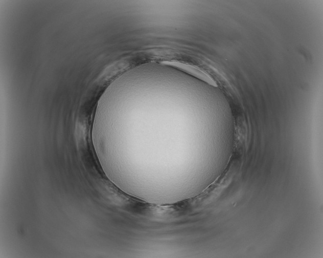 X0000112090333200908251132