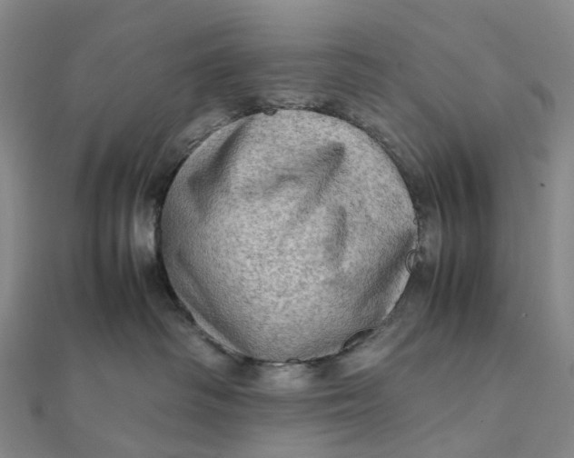 X0000112090334200908251132