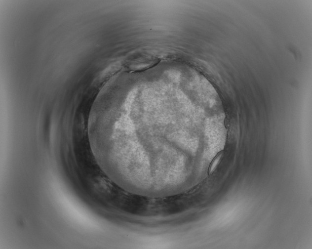 X0000112090335200908251132