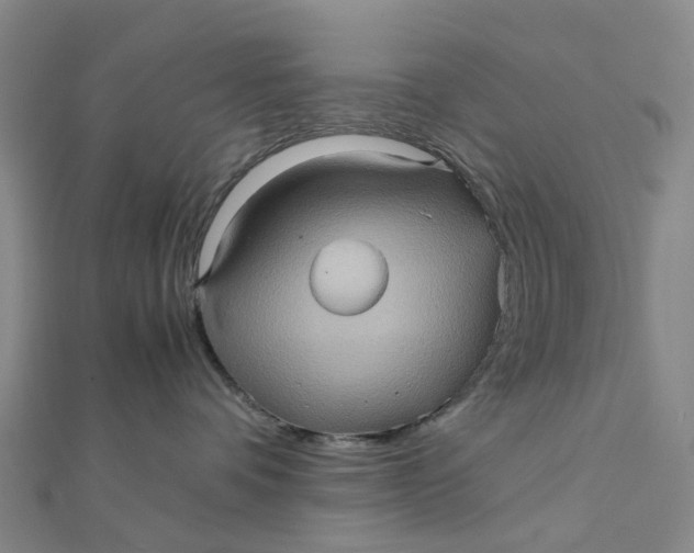 X0000112090336200908251132