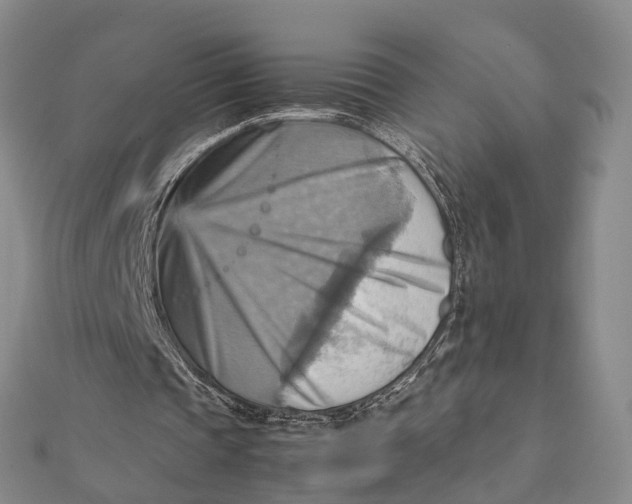 X0000112090337200908251132