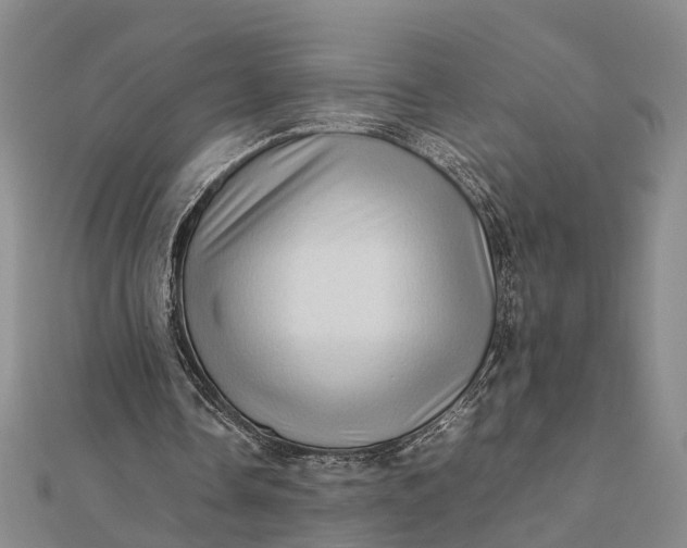 X0000112090338200908251132