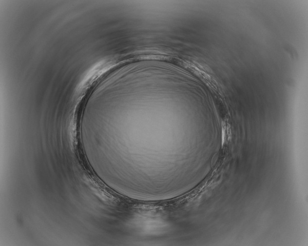 X0000112090339200908251132