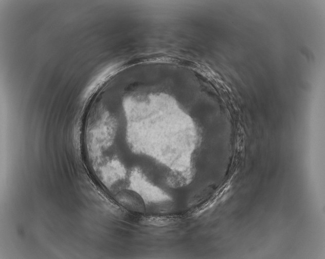 X0000112090341200908251132