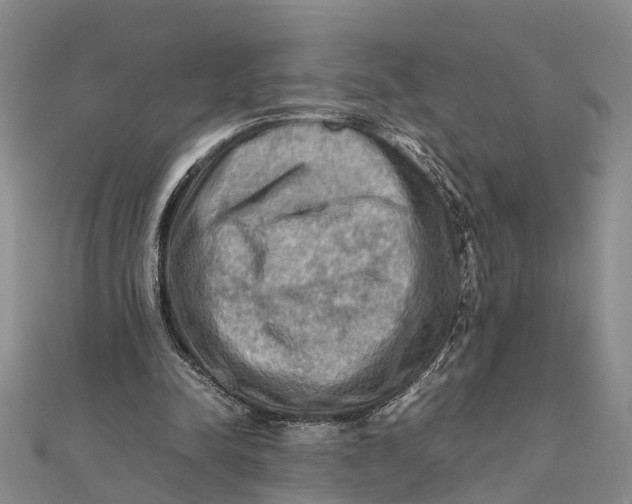X0000112090342200908251132