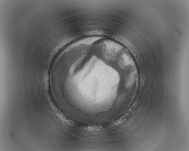 X0000112090345200908251132