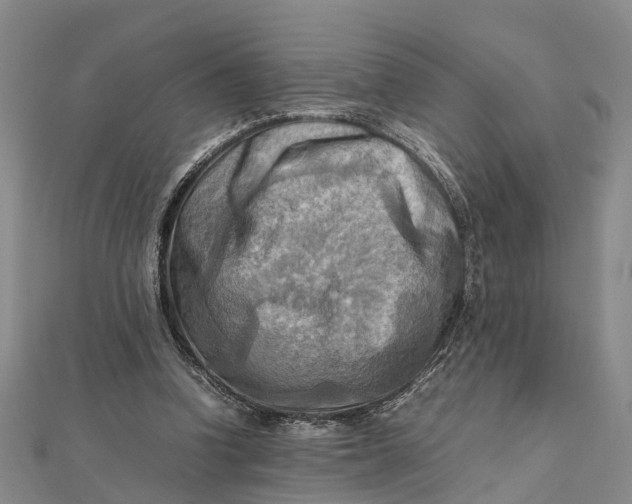 X0000112090346200908251132