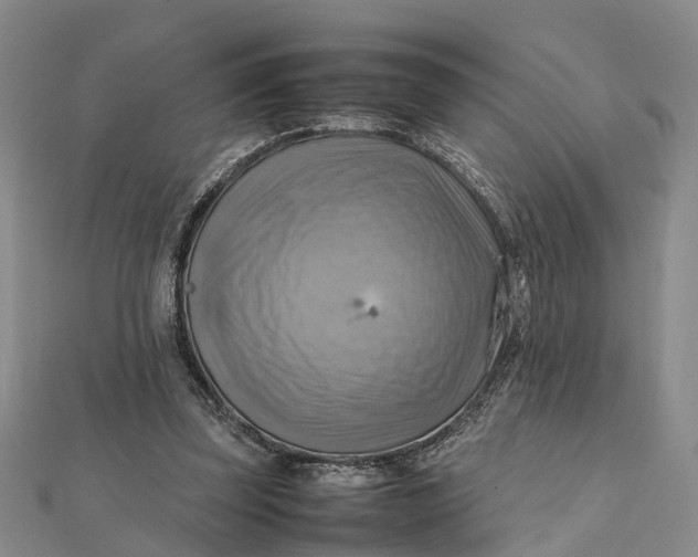 X0000112090347200908251132