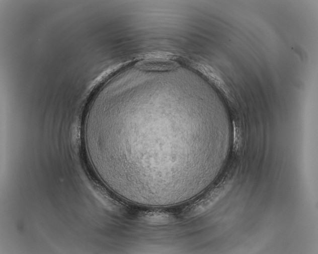 X0000112090348200908251132