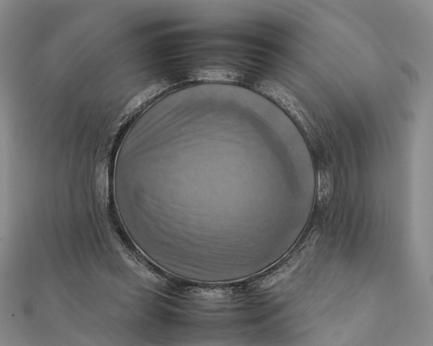 X0000112090349200908251132