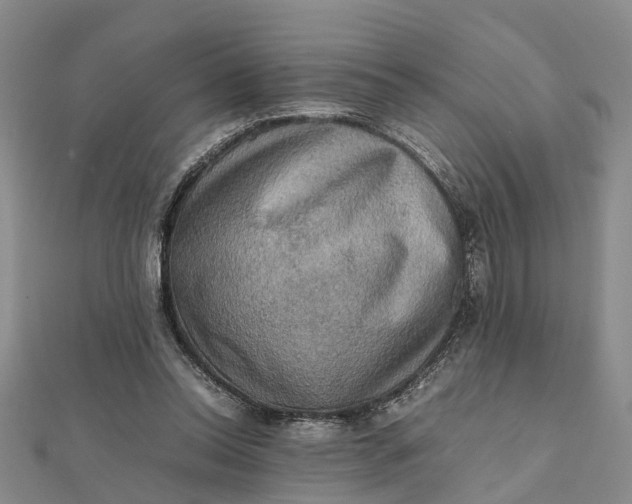 X0000112090350200908251132