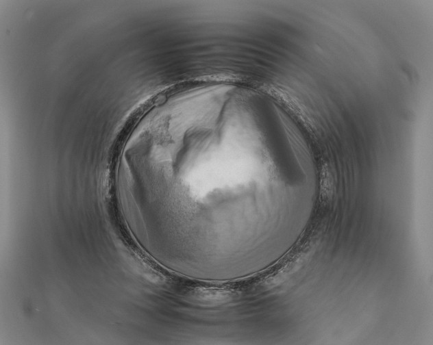 X0000112090351200908251132