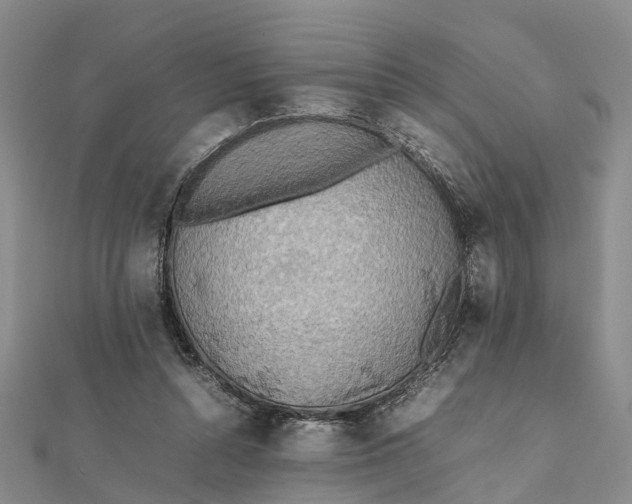 X0000112090352200908251132