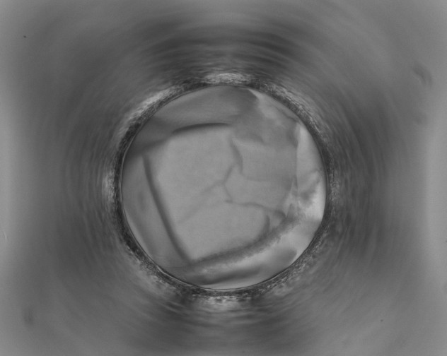 X0000112090353200908251132